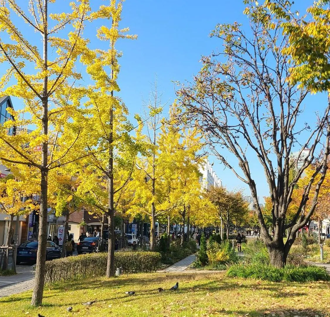 アパート ソウル特別市Wood House Hongik Univ 6 Double Bedsアパートメント 韓国